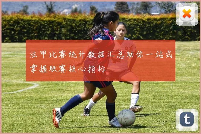 法甲比赛统计数据汇总助你一站式掌握联赛核心指标