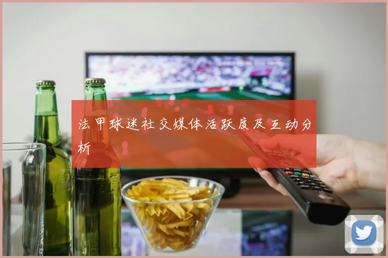 法甲球迷社交媒体活跃度及互动分析