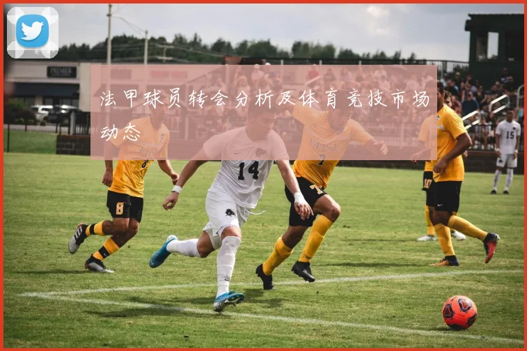 法甲球员转会分析及体育竞技市场动态