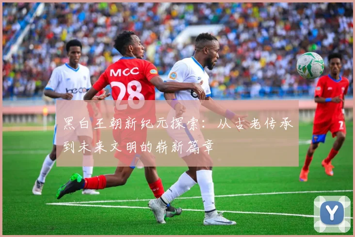 黑白王朝新纪元探索：从古老传承到未来文明的崭新篇章