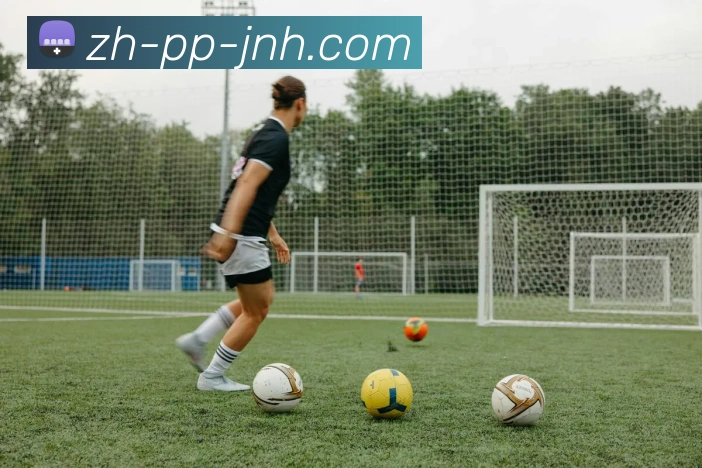 金年会体育发展历程